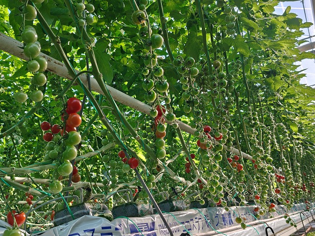 株式会社みちさき